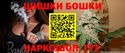 spice Гусев