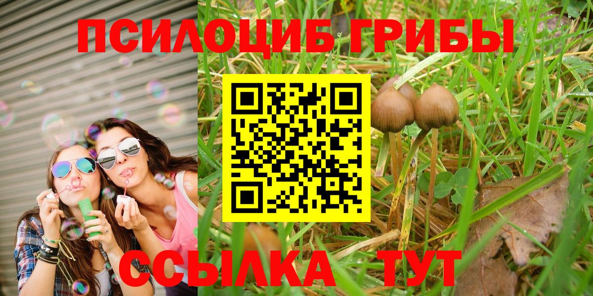 Минеральные Воды  Галлюциногенные грибы Psilocybine cubensis  Вход с VPN 
