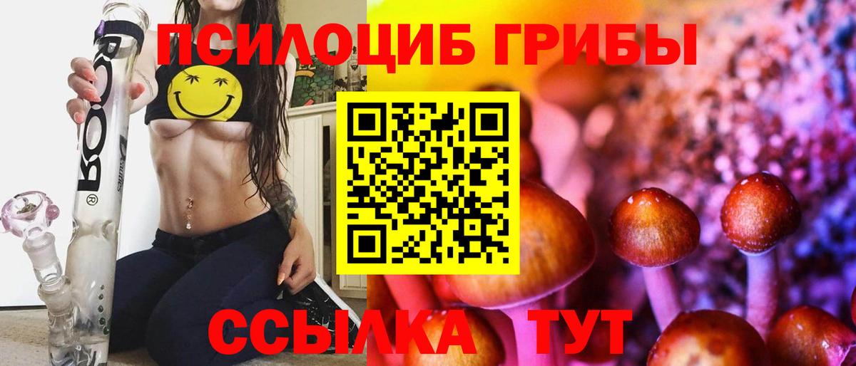Псилоцибиновые грибы GOLDEN TEACHER Минеральные Воды
